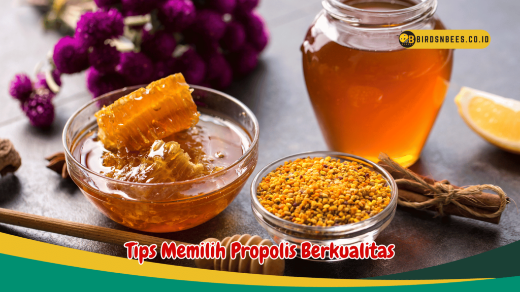 Tips Memilih Propolis Berkualitas Tips Memilih Propolis Berkualitas
