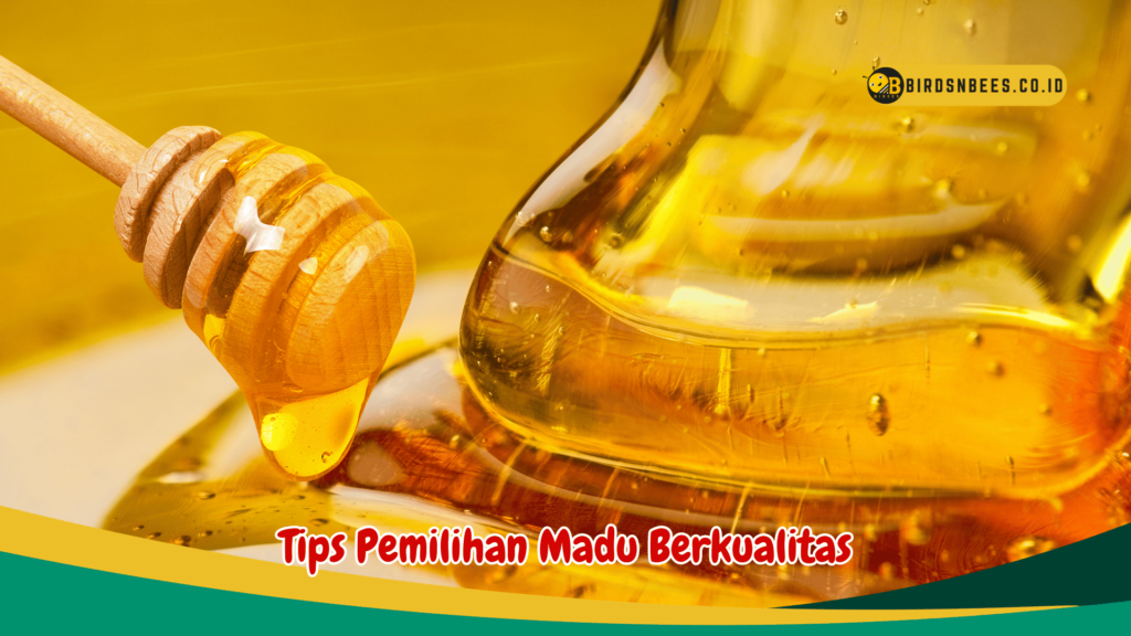 Tips Pemilihan Madu Berkualitas Tips Pemilihan Madu Berkualitas