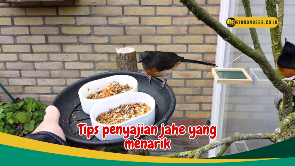 Tips penyajian jahe yang menarik Tips penyajian jahe yang menarik