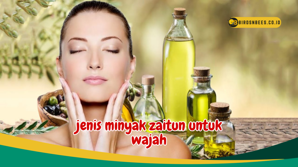 jenis minyak zaitun untuk wajah jenis minyak zaitun untuk wajah