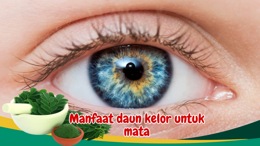 Manfaat daun kelor untuk mata