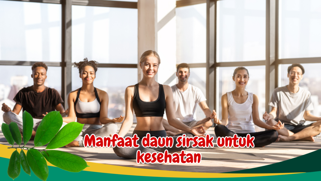 Manfaat daun sirsak untuk kesehatan Manfaat daun sirsak untuk kesehatan