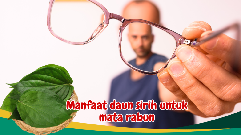 Manfaat daun sirih untuk mata rabun Manfaat daun sirih untuk mata rabun