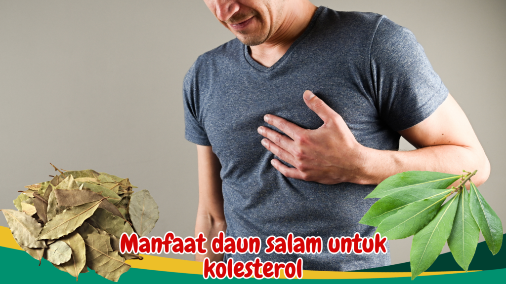 Manfaat daun salam untuk kolesterol Manfaat daun salam untuk kolesterol