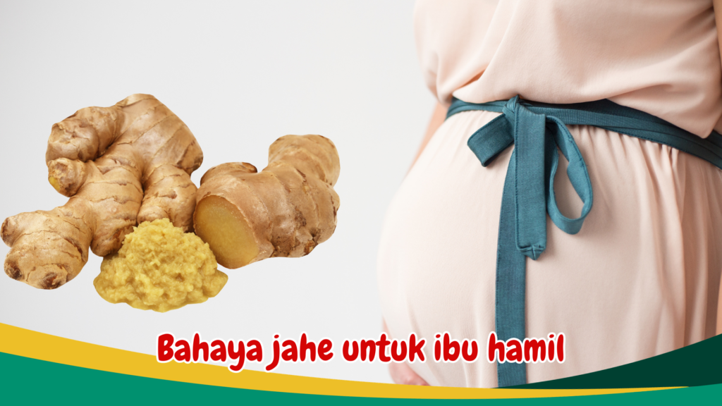 Bahaya jahe untuk ibu hamil Bahaya jahe untuk ibu hamil
