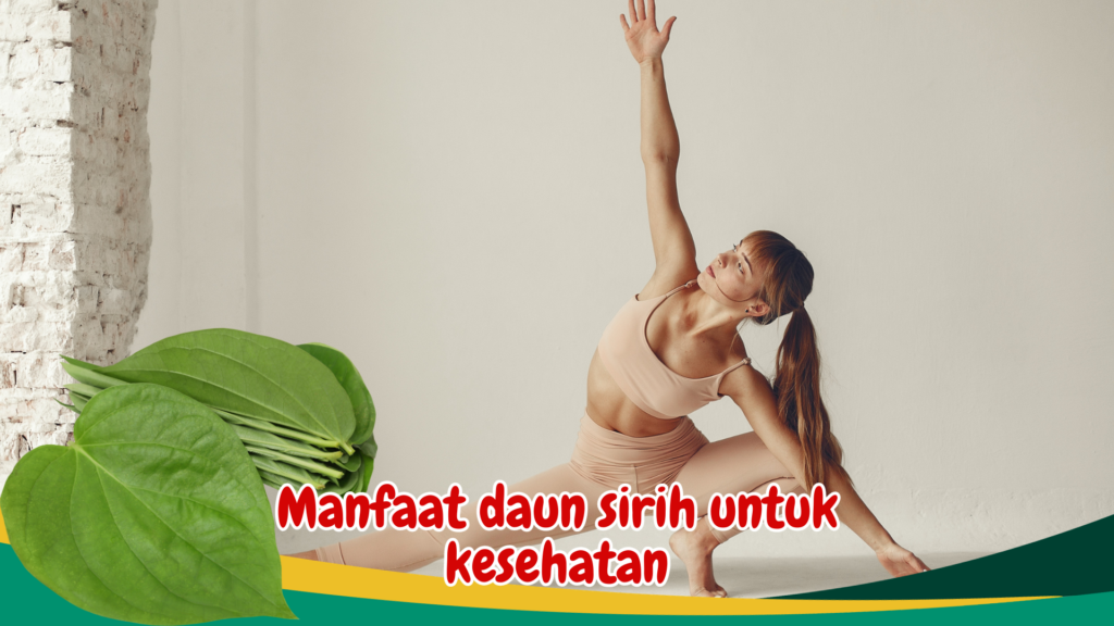 Manfaat daun sirih untuk kesehatan