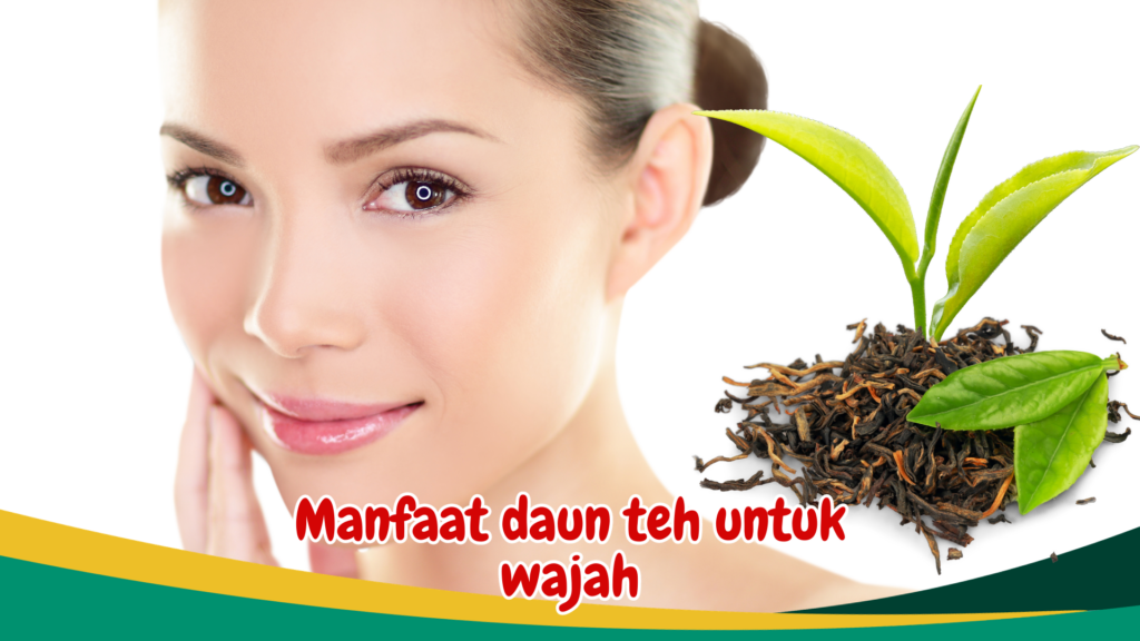 Manfaat daun teh untuk wajah Manfaat daun teh untuk wajah