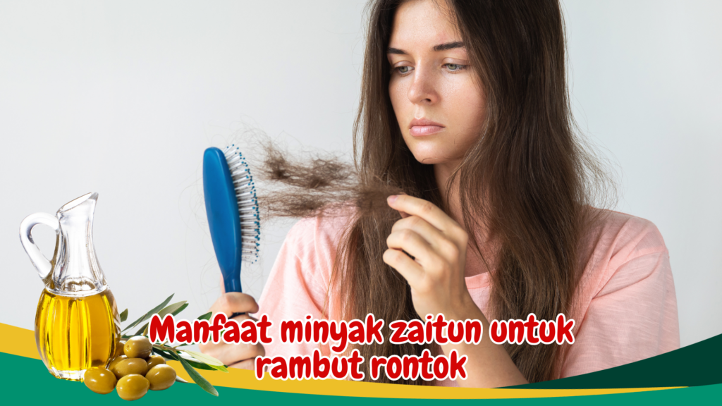 Manfaat minyak zaitun untuk rambut rontok Manfaat minyak zaitun untuk rambut rontok
