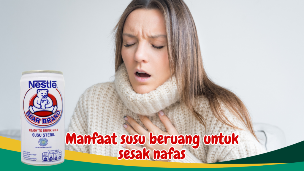 Manfaat susu beruang untuk sesak nafas Manfaat susu beruang untuk sesak nafas