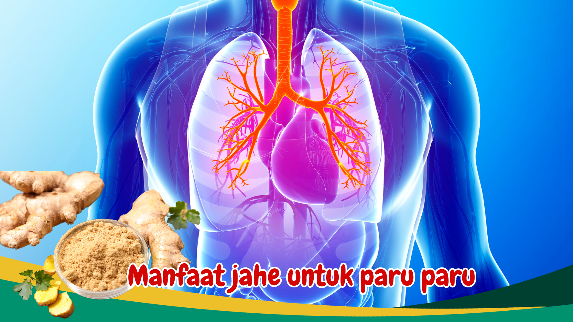 Manfaat Luar Biasa Jahe untuk kesehatan Paru-Paru Manfaat Luar Biasa Jahe untuk kesehatan Paru-Paru