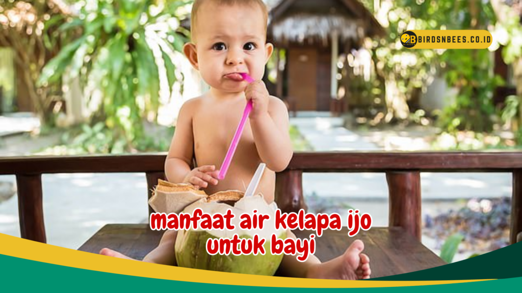 manfaat air kelapa ijo untuk bayi manfaat air kelapa ijo untuk bayi