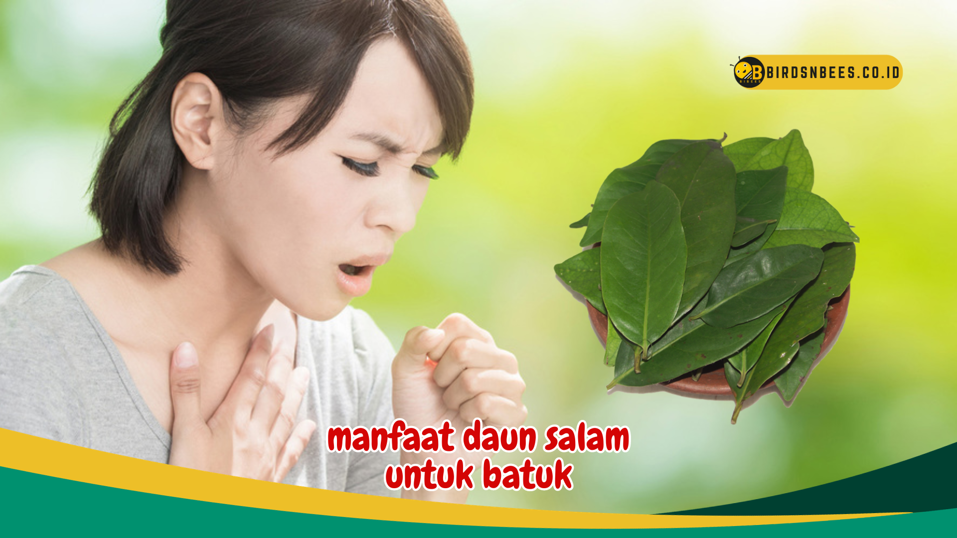 Meredakan Batuk Kering, Ketahui Manfaat Daun Salam Untuk Batuk