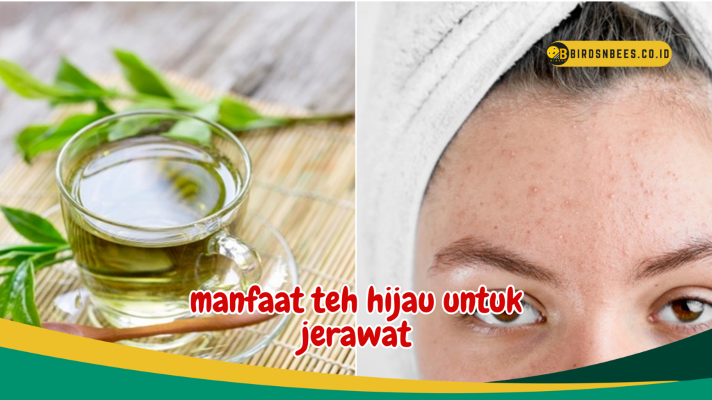 manfaat teh hijau untuk jerawat manfaat teh hijau untuk jerawat