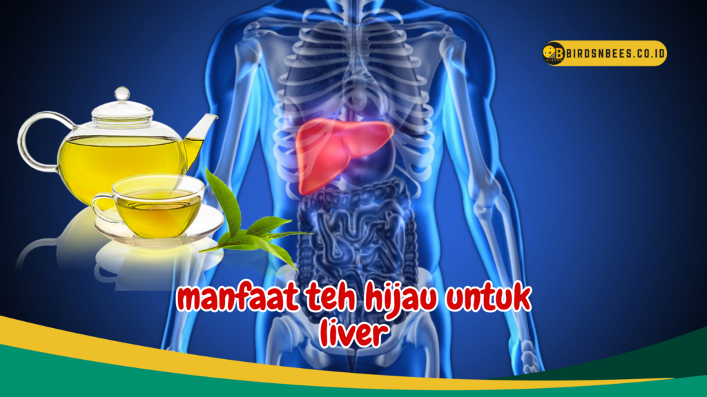 manfaat teh hijau untuk liver manfaat teh hijau untuk liver