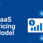 SaaS Pricing Model