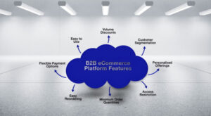 B2B Ecommerce Platform